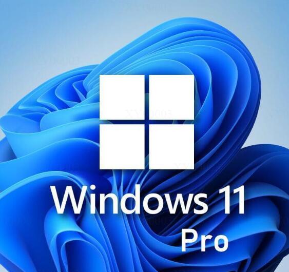 Windows 11 professional 32/64 bit 1PC 日本語 正式正規版 認証保証 ウィンドウズ win11 OS ダウンロード版 プロダクトキー ライセンス認証 永久