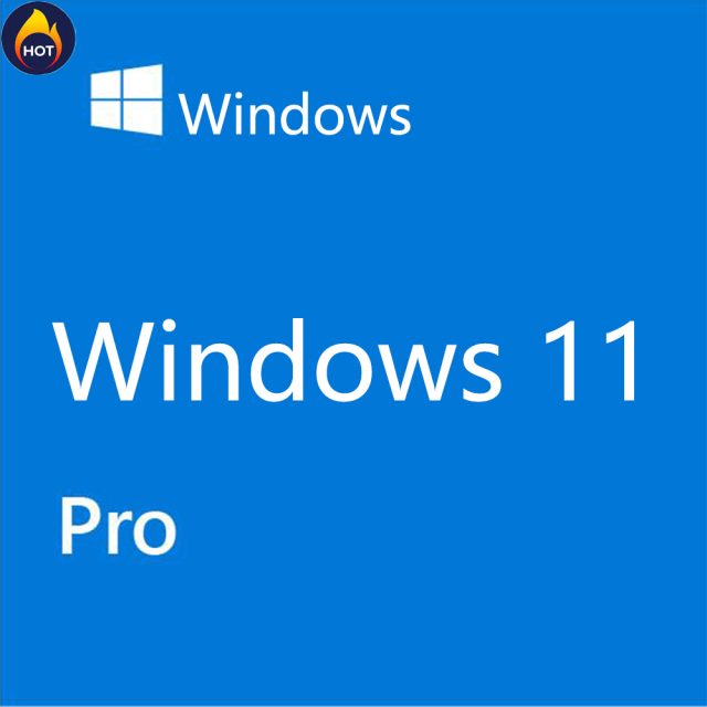 Windows 11 professional 1PC 日本語 認証保証 ウィンドウズ win11 OS ダウンロード版 プロダクトキー ライセンス認証 永久